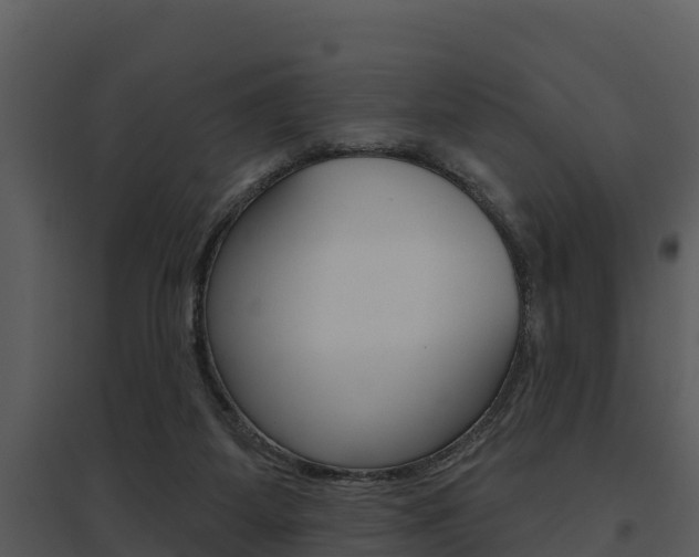 X0000095680115200801081113