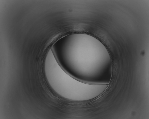 X0000095680116200801081113