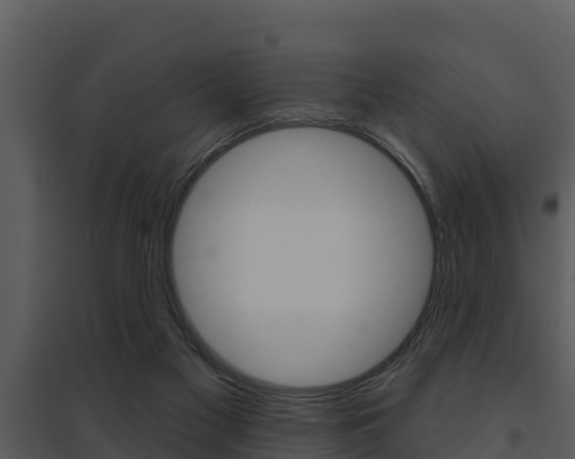 X0000095680117200801081113