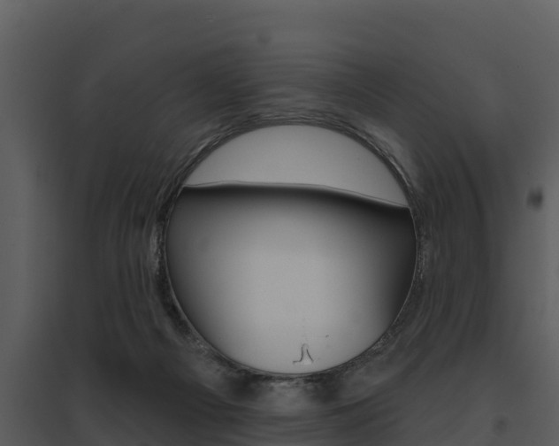 X0000095680121200801081112