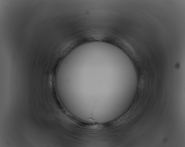 X0000095680122200801081112