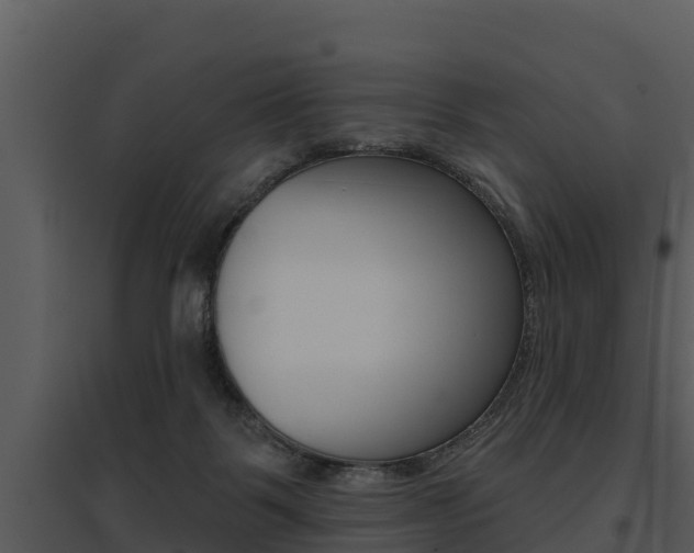 X0000095680123200801081112