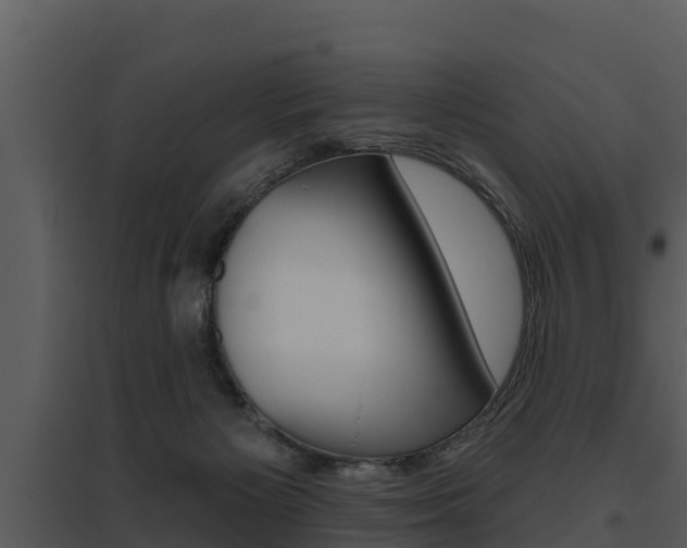 X0000095680125200801081112