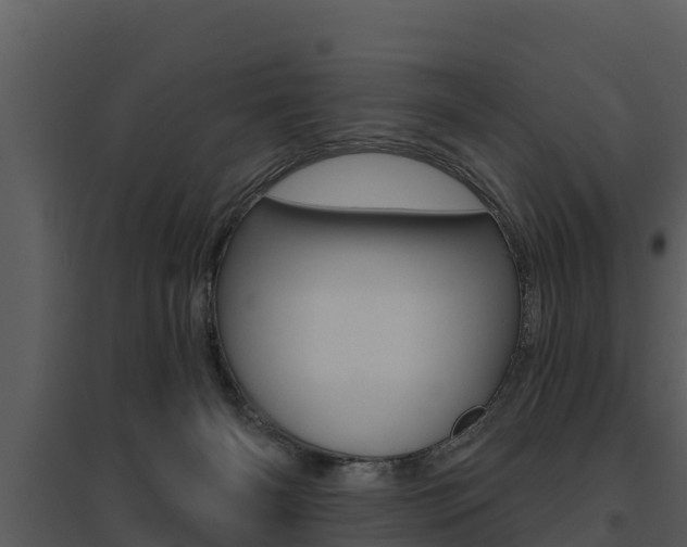 X0000095680126200801081112