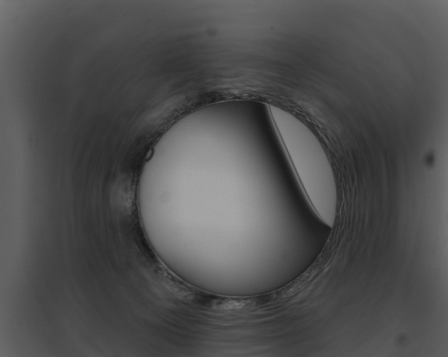 X0000095680129200801081112