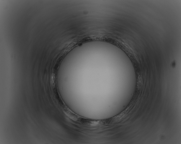 X0000095680130200801081112