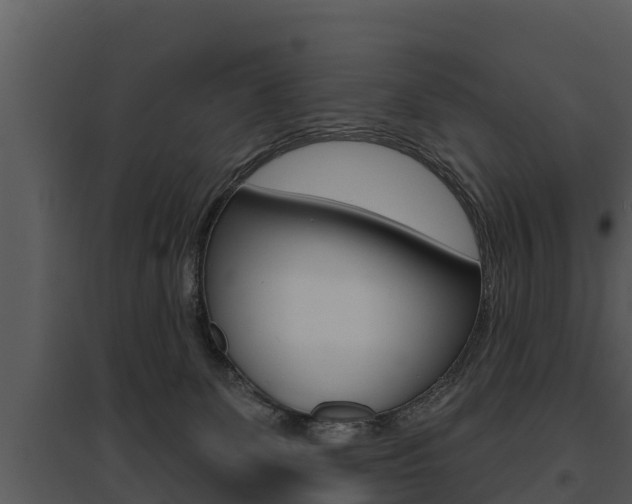 X0000095680131200801081112