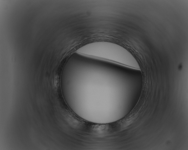 X0000095680135200801081112
