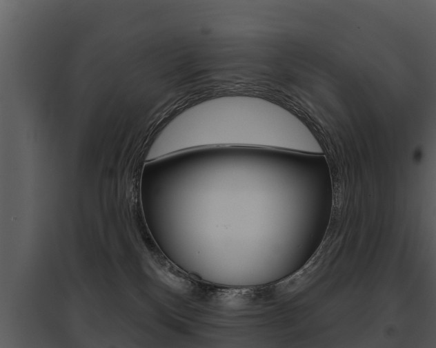 X0000095680136200801081112