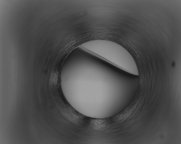 X0000095680139200801081112