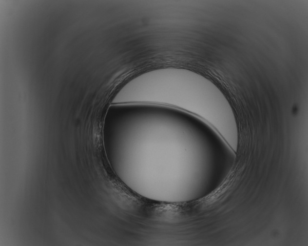 X0000095680140200801081112