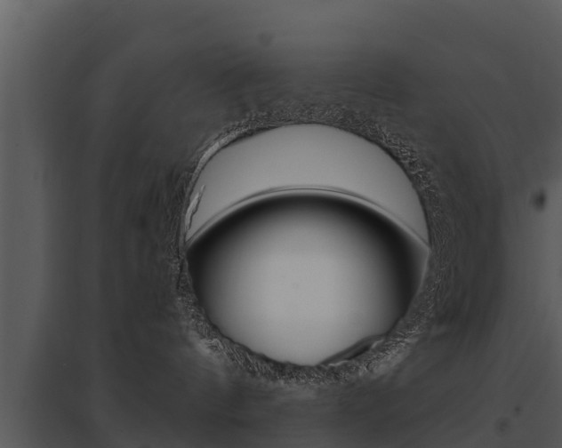 X0000095680144200801081112