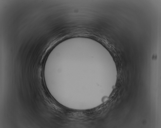 X0000095680146200801081111