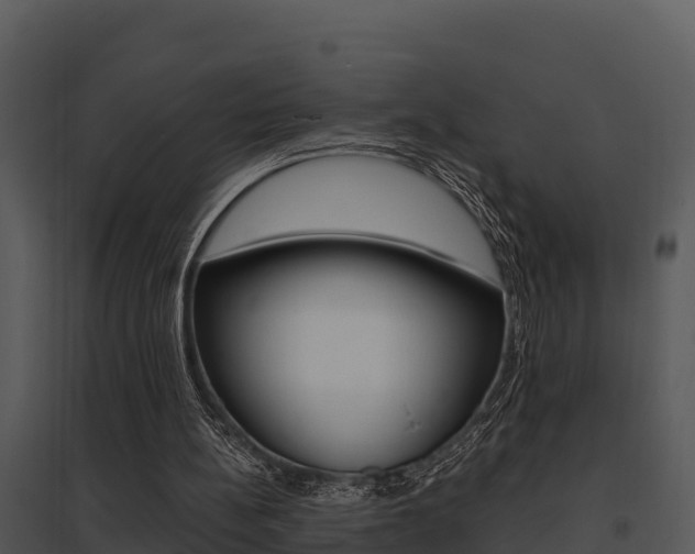 X0000095680148200801081112