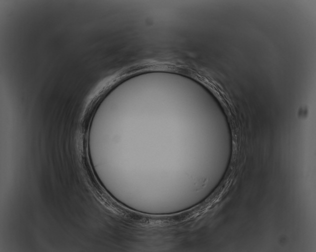 X0000095680149200801081112