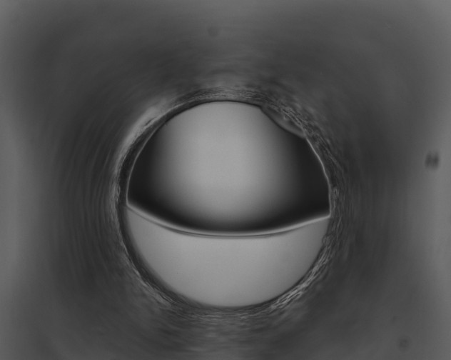 X0000095680150200801081112