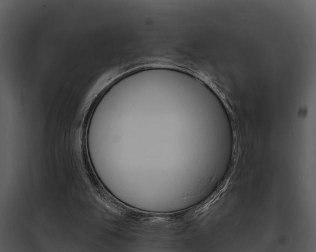 X0000095680151200801081112