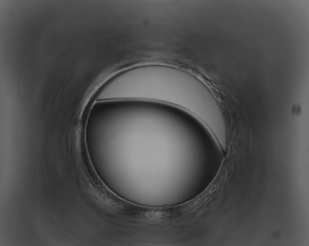 X0000095680152200801081112
