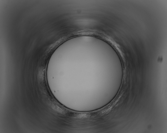 X0000095680153200801081112