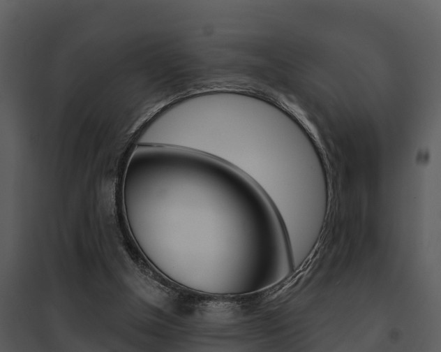 X0000095680154200801081112