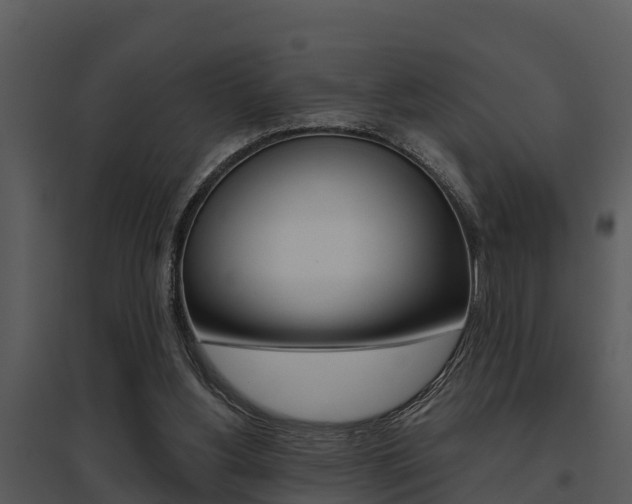 X0000095680156200801081112