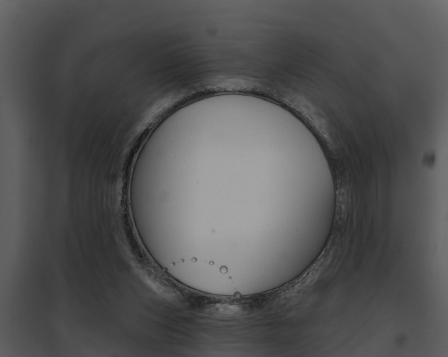 X0000095680159200801081112