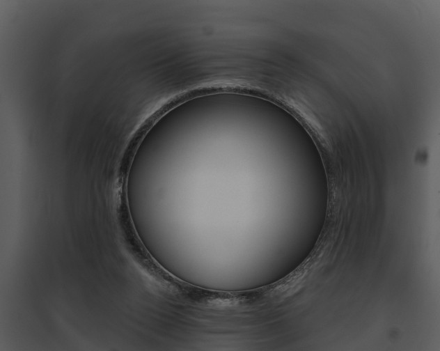 X0000095680160200801081112