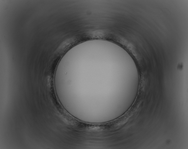 X0000095680161200801081112