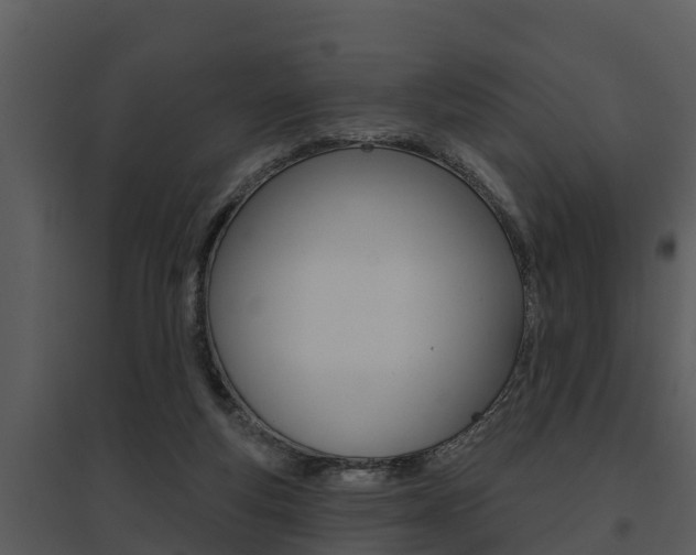X0000095680163200801081112