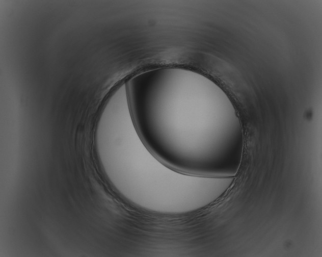 X0000095680164200801081112