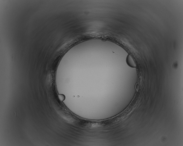 X0000095680165200801081112