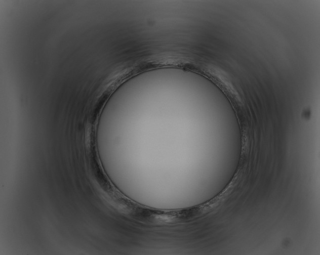 X0000095680167200801081112