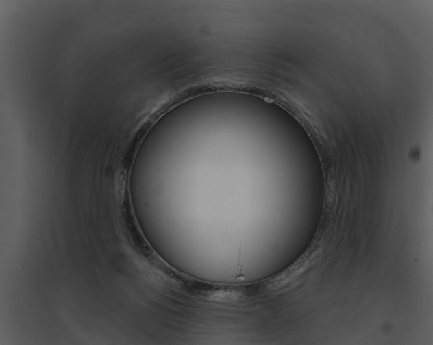 X0000095680168200801081112