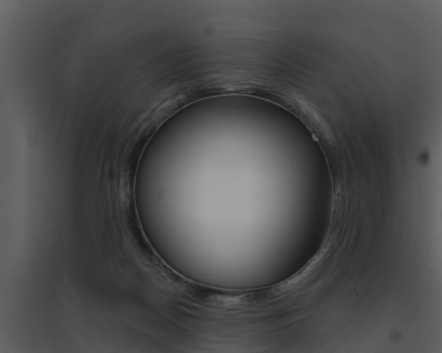 X0000095680170200801081112