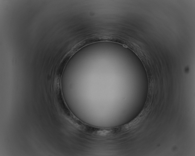 X0000095680172200801081112