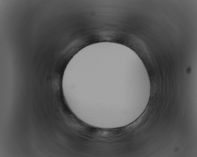 X0000095680174200801081112