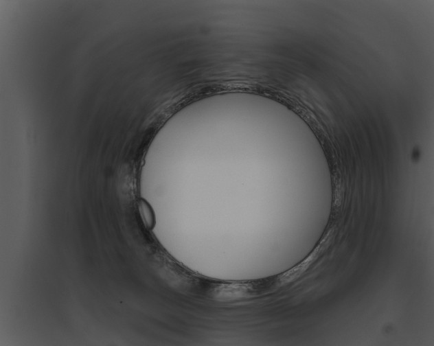 X0000095680179200801081112