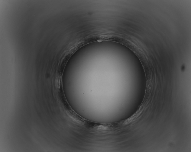 X0000095680180200801081112