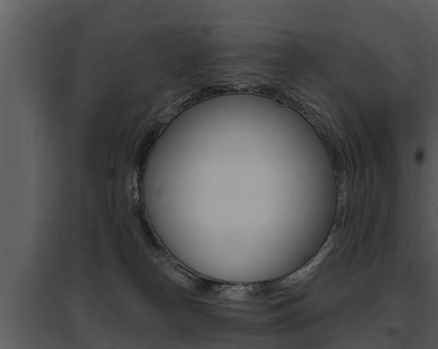 X0000095680182200801081112