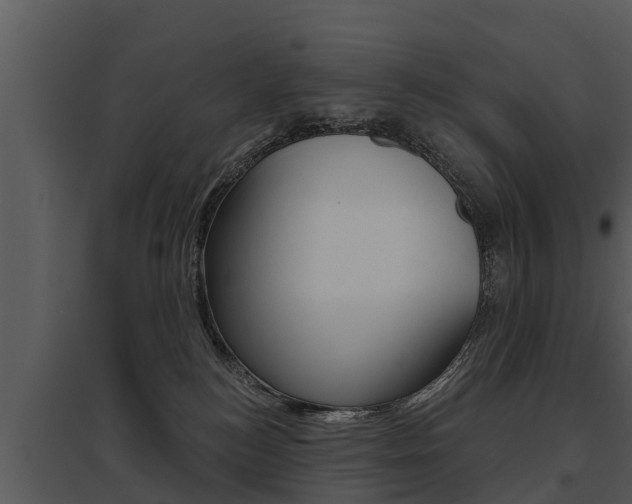 X0000095680184200801081112