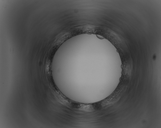 X0000095680185200801081112