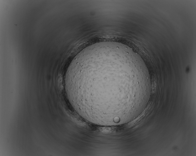 X0000095680187200801081112