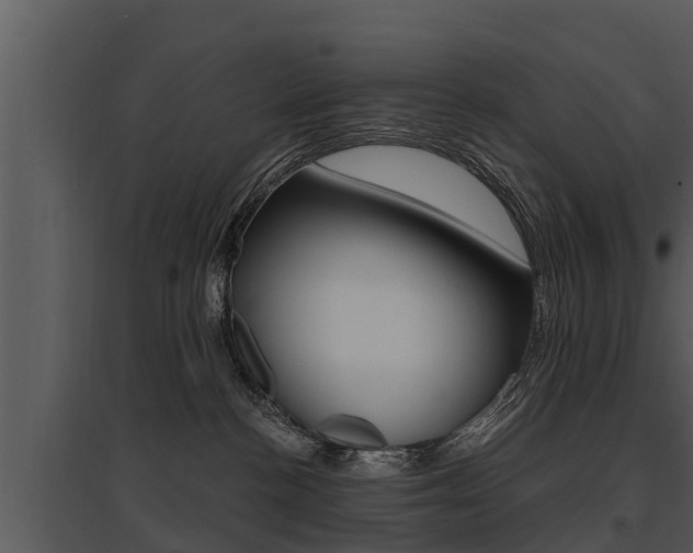 X0000095680188200801081112