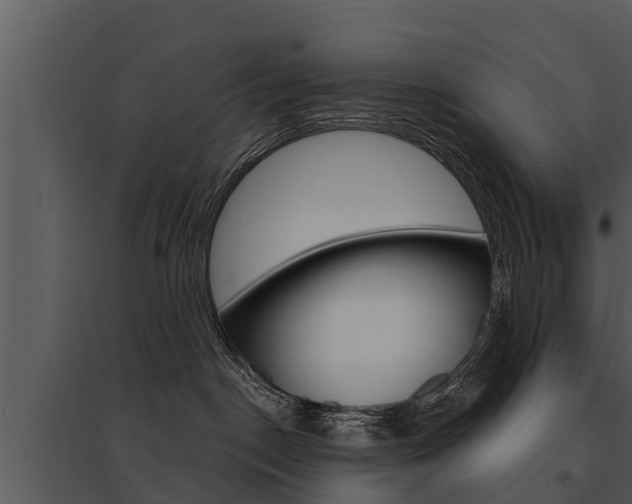 X0000095680190200801081112