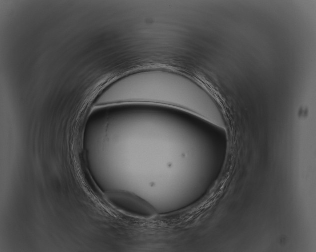 X0000095680193200801081111