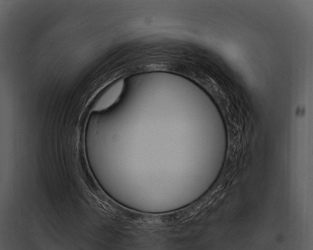 X0000095680194200801081111