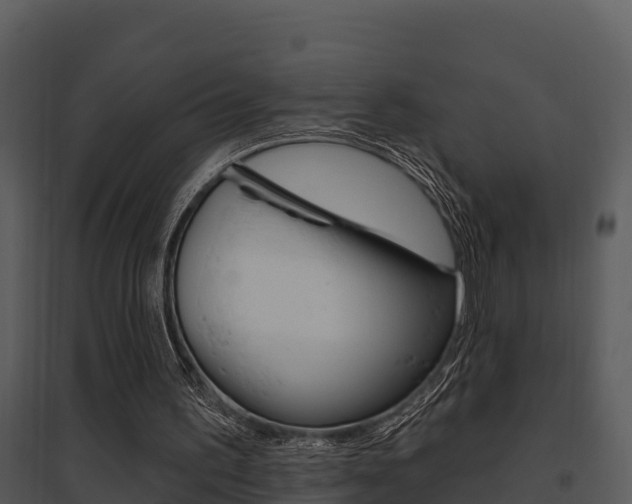 X0000095680195200801081111