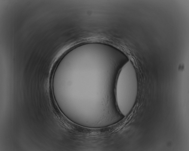 X0000095680196200801081111