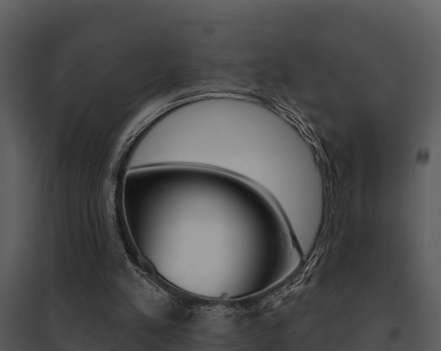 X0000095680197200801081111