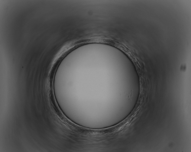 X0000095680198200801081111